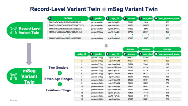 Record-Level Variant Twin - mSeg Variant Twin